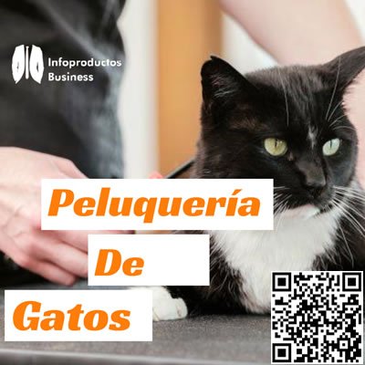 Infoproductos Business - Catalogo de Formaciones en Negocio