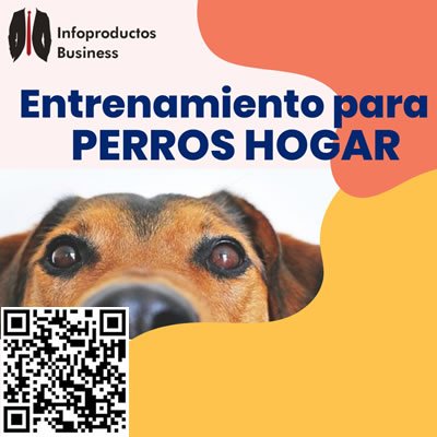 Infoproductos Business - Catalogo de Formaciones en Negocio